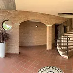 Oasi