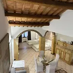 Oasi
