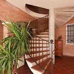 Oasi 4*